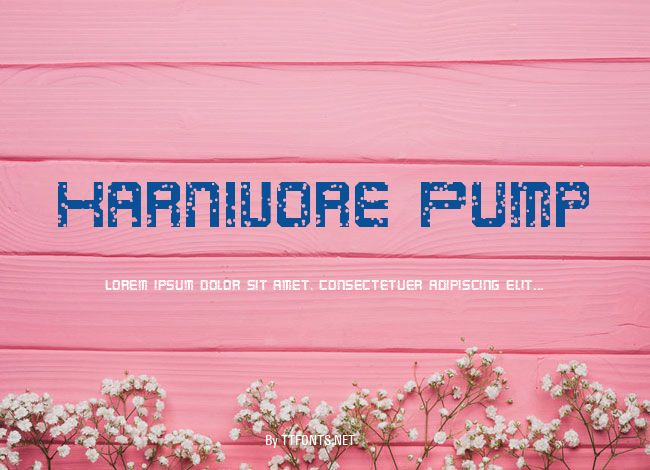 Karnivore Pump example